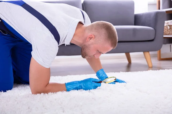 Commercial Cleaning